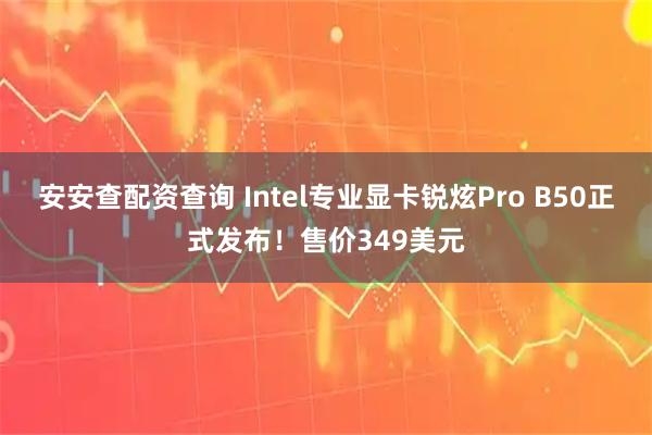 安安查配资查询 Intel专业显卡锐炫Pro B50正式发布！售价349美元