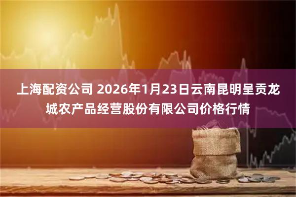 上海配资公司 2026年1月23日云南昆明呈贡龙城农产品经营股份有限公司价格行情